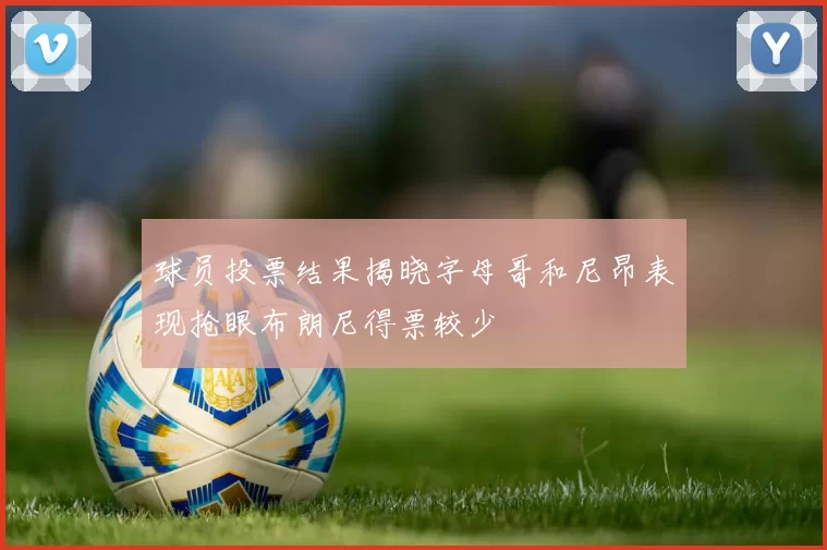 球员投票结果揭晓字母哥和尼昂表现抢眼布朗尼得票较少