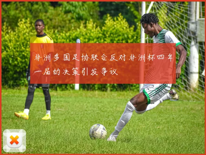 非洲多国足协联合反对非洲杯四年一届的决策引发争议